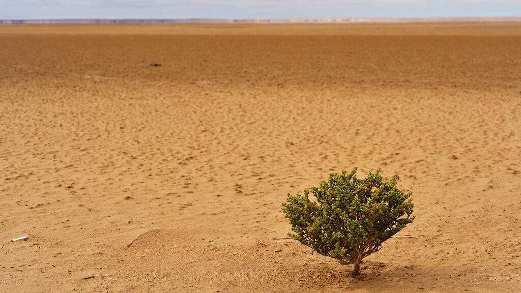 أفريقيا تدفع فاتورة التوترات العالمية ونموها ينخفض إلى 4.3٪ - أفريقيا تدفع فاتورة التوترات العالمية ونموها ينخفض إلى 4.3٪ - أفريقيا تدفع فاتورة التوترات العالمية ونموها ينخفض إلى 4.3٪ - أفريقيا تدفع فاتورة التوترات العالمية ونموها ينخفض إلى 4.3٪ - أفريقيا تدفع فاتورة التوترات العالمية ونموها ينخفض إلى 4.3٪ - Africa Pays the Bill for Global Tensions and Its Growth Drops to 4.3% - Africa Pays the Bill for Global Tensions and Its Growth Drops to 4.3%